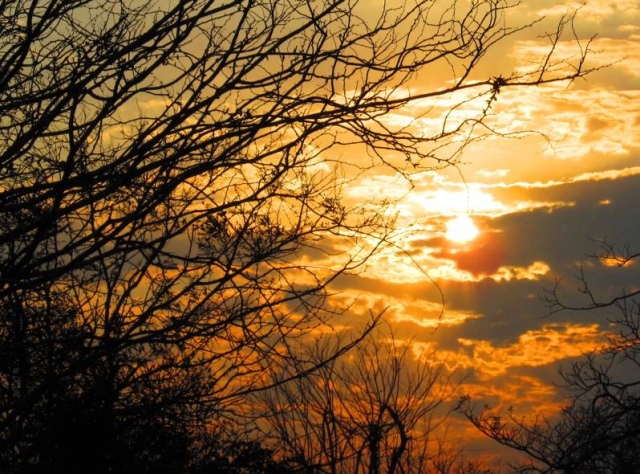  un bellissimo tramonto 